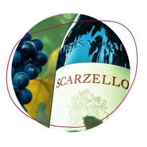 Scarzello Winery