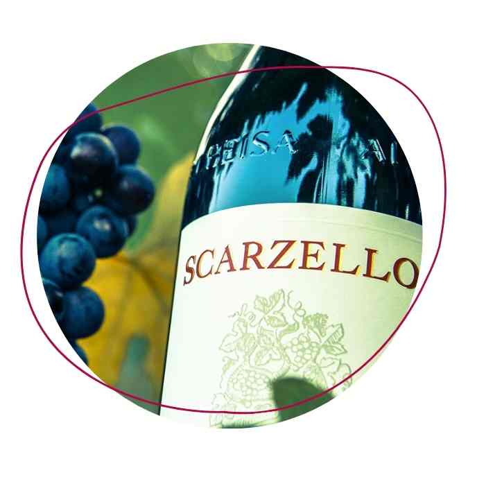 Scarzello Winery